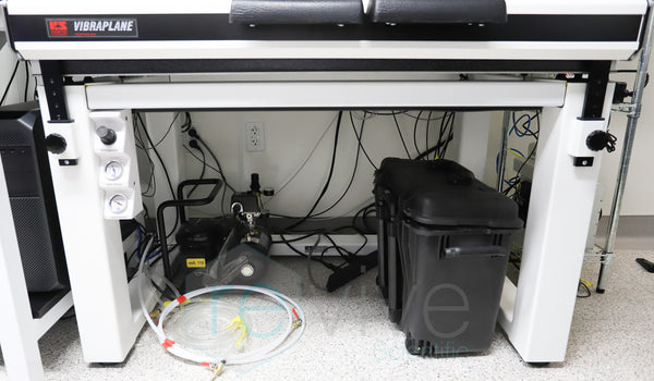 CL1101-03_grande.jpg?v=1741807811