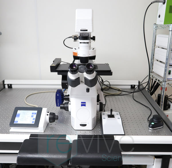 CL1101-27_grande.jpg?v=1741807811