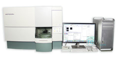 Cell Counting