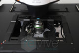 Zeiss AXIO Observer 7 Inverted LED Fluorescence AI Sample Finder - 2023